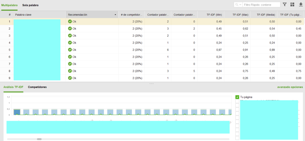 websiteauditor-itf-df